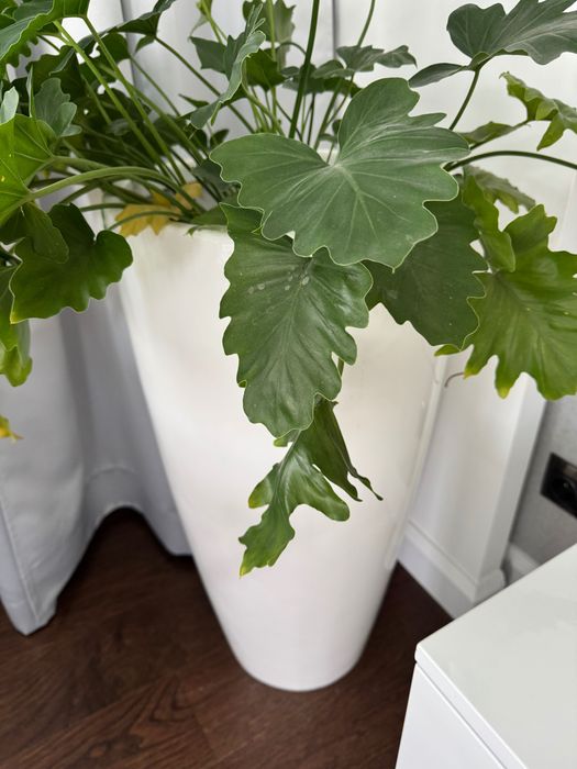 Donice z włókna szklanego