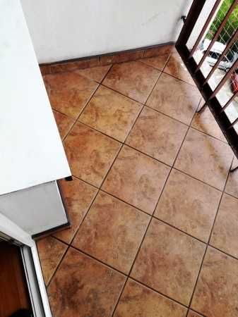 Sprzątanie balkonów montaż siatek ochronnych przeciw gołębiom dla kota