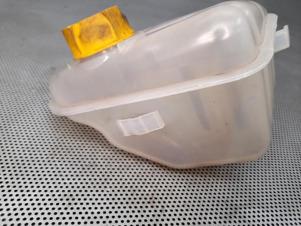 Vaso Expansao / Radiador FORD Transit Connect I (P65_, P70_, P80_)