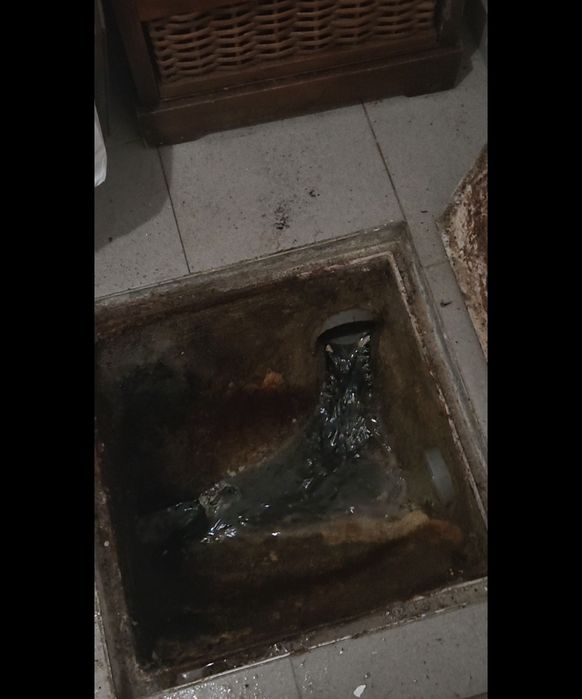 Desentupimento de esgotos (low cost)