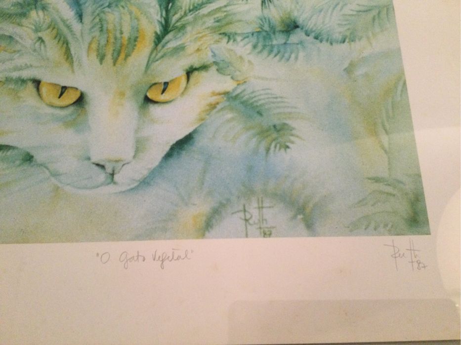 Serigrafia “O gato vegetal”