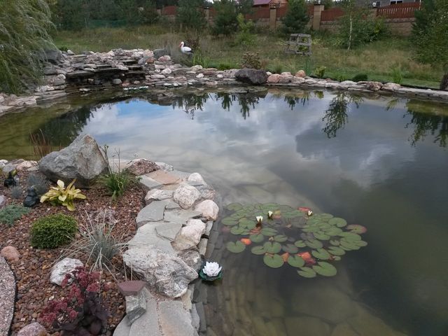 Строительство водоемов,садовые пруды,водопады,каскады, биоплато.