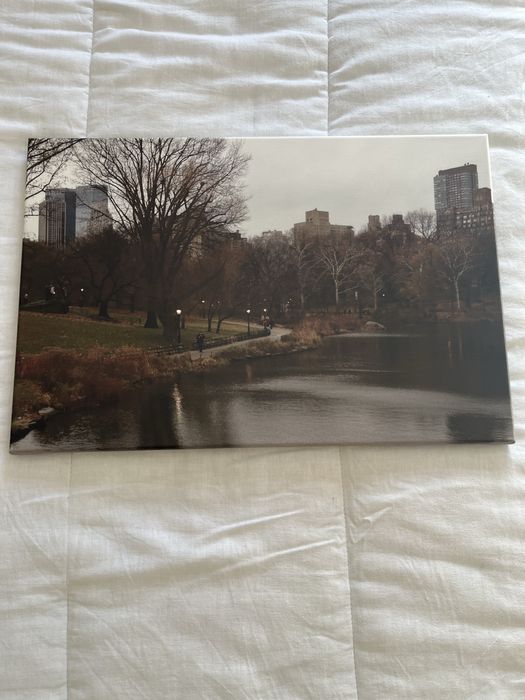 Quadro Central Park em New York