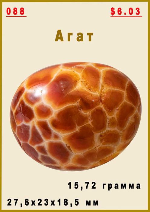 Окаменелости, друзы для коллекционеров