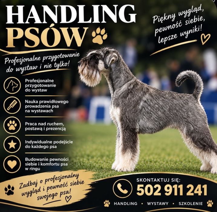 Szkolenie Psów / Handling Wystawowy / Wystawy Psów / Treningi / Szkolenia