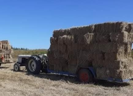 Serviços Agrícolas