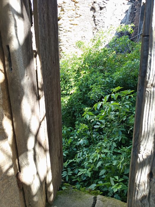 Vendo uma ruína em mós de Moncorvo