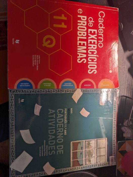 Livros de actividades e resumos - 11º ano