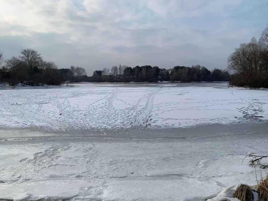 Земельна ділянка 12 соток на першій лінії від води!