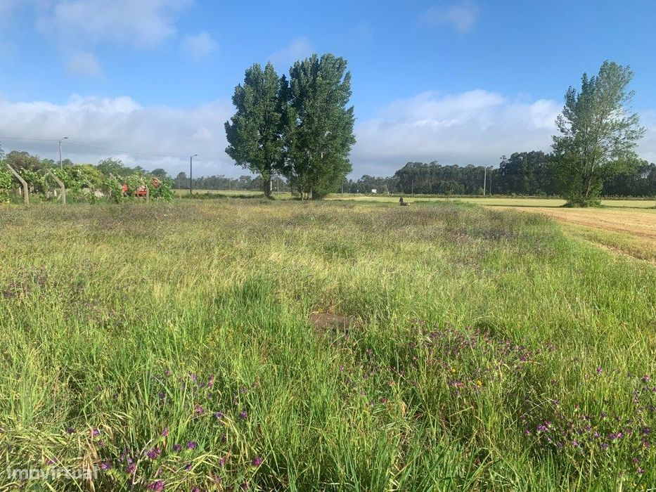 Terreno para construção em Estarreja