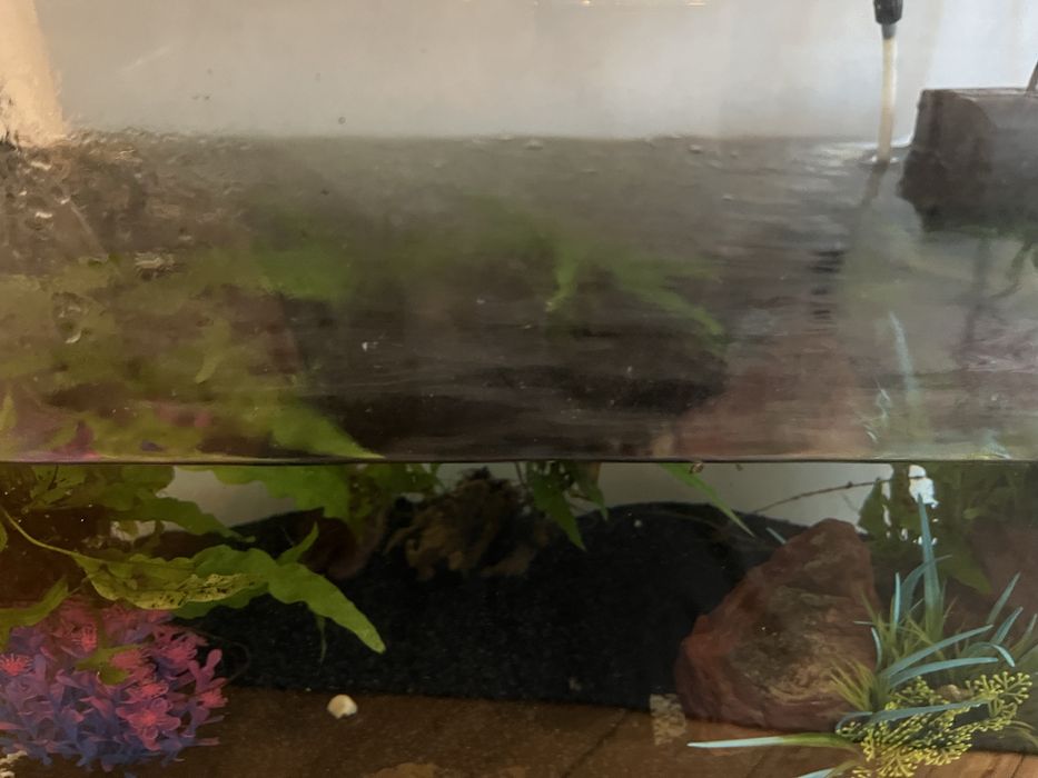 Aquário Juwel PrimoLux 60