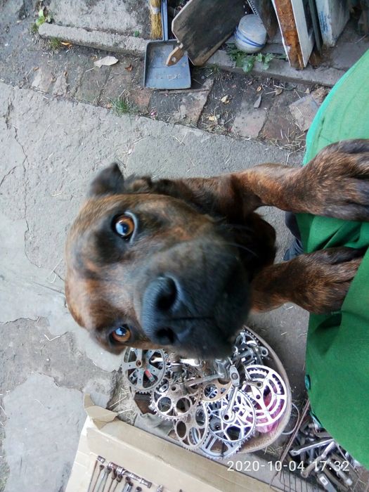 вилка для велосипеда