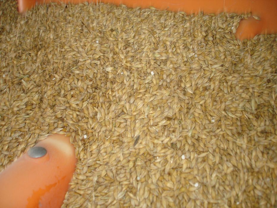 owies 650, jęczmień 800