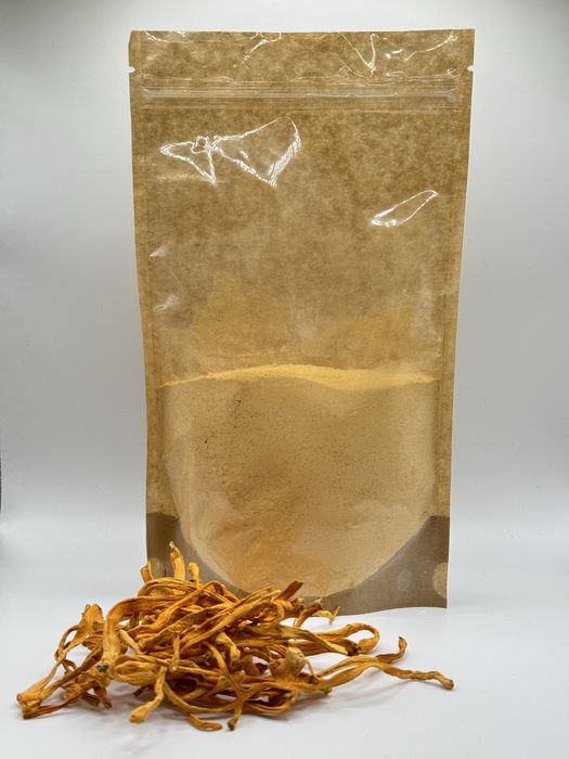 Кордицепс мелений. Кордицепс військовий.