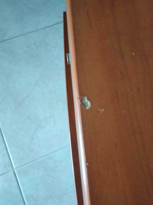 Móvel de televisão