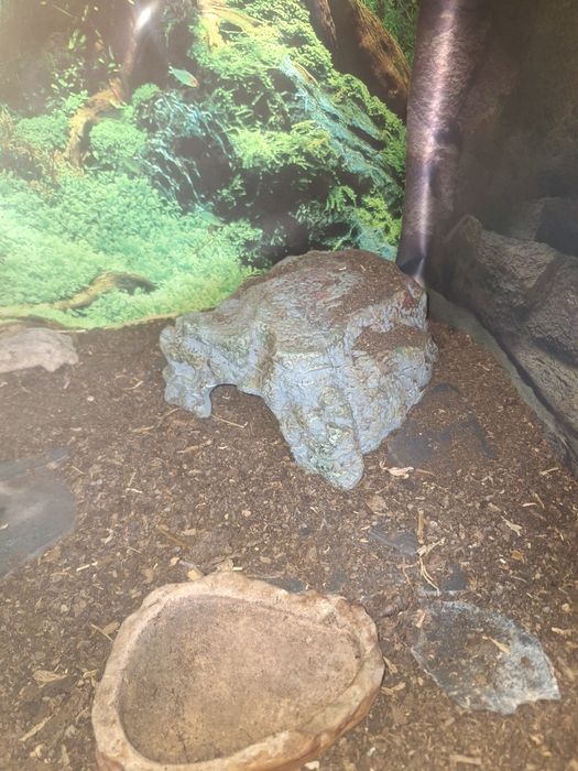 Gotowe terrarium 150x60x60 cm, pod zółwia greckiego/ stepowego