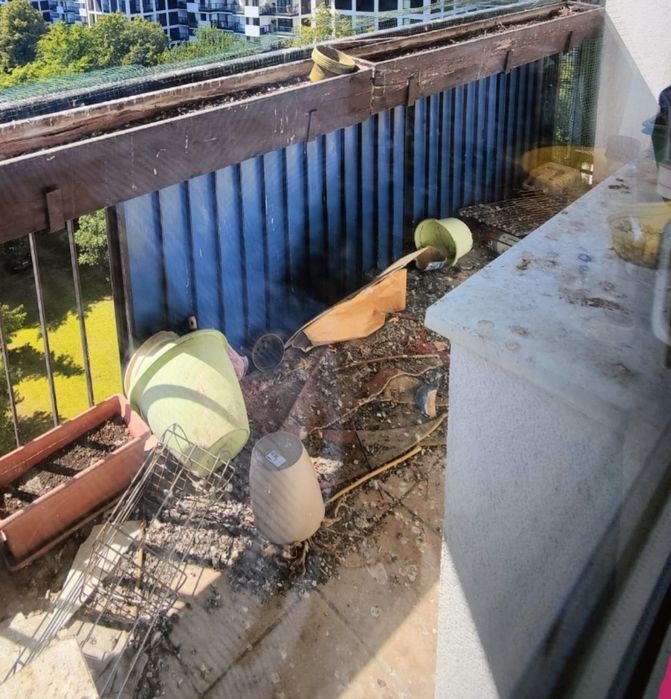 Zlecenia Sprzątanie i dezynfekcja balkonów po gołebiach siatka dla kot