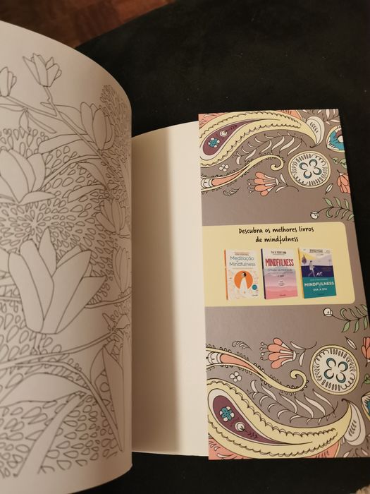 Vende-se livro - A arte do Mindfulness