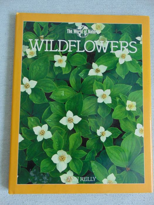 Album Wildflowers - Ann Reilly