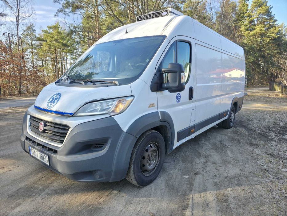 Ducato 2.3 MAXI L4H2 chłodnia / dwukomorowa