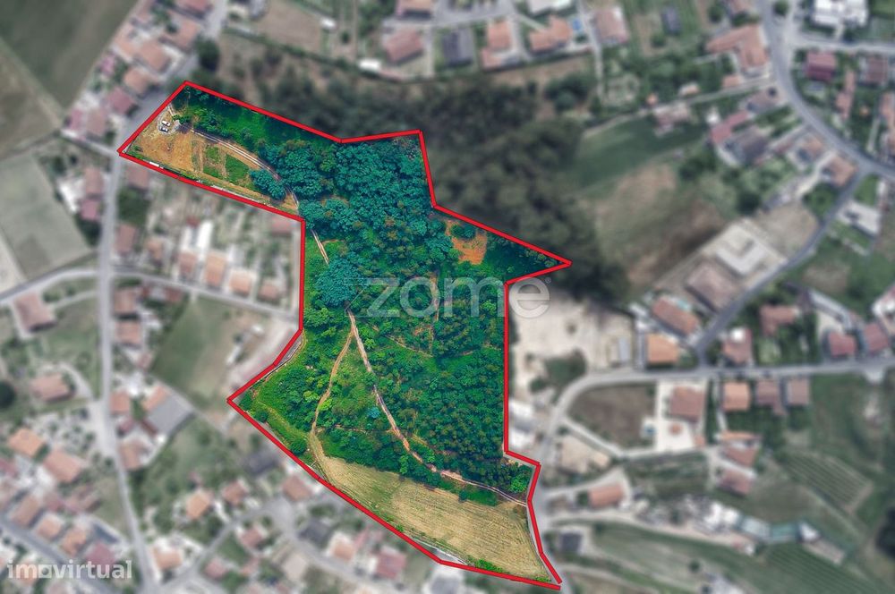 Terreno de construção com 1,5 ha, com projeto, Caldinhas, Santo Tir...