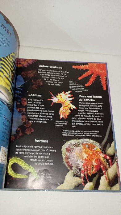 A Minha Primeira Enciclopédia de Animais