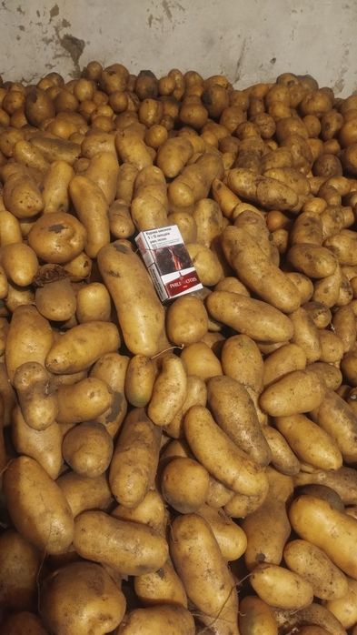 Продам картоплю домашню