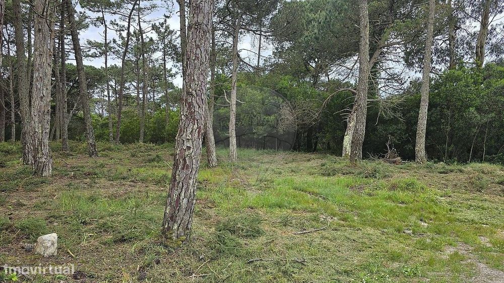 Terreno  para venda — São João Das Lampas E Terrugem, Lisboa