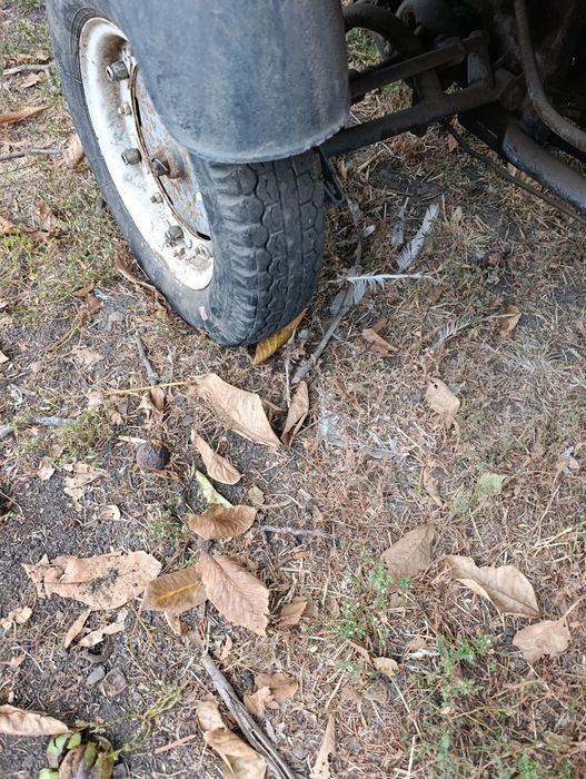 Моторолер муравей