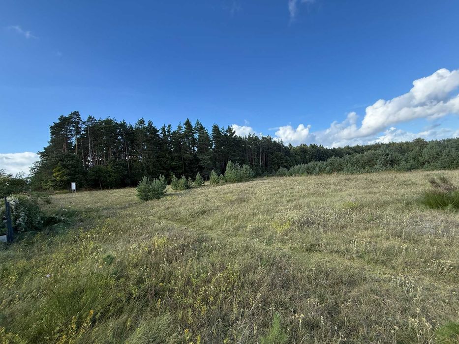 Działka budowlana Bojano 1849 m² - Widok 4