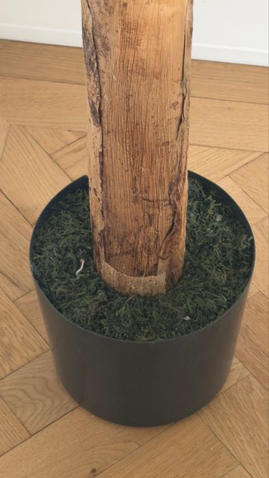 Duża palma dekoracyjna 190 cm – FLORA POINT