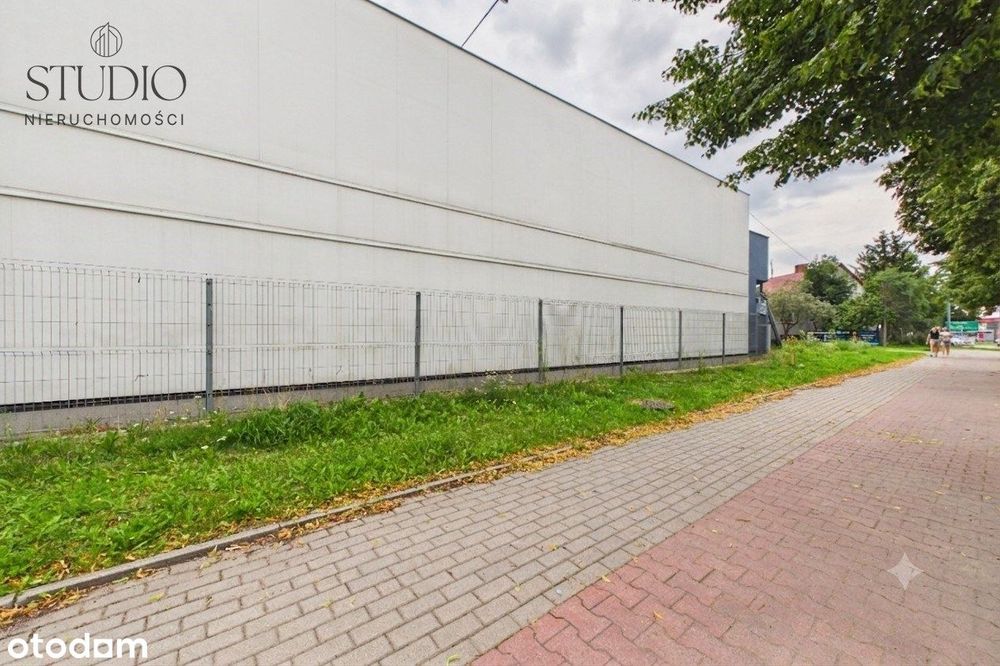 Zdjęcie 6