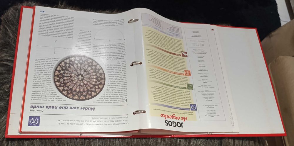 Jogo de Engenho "Aro Cativo" - Novo Marca: Orbis Fabbri - RBA