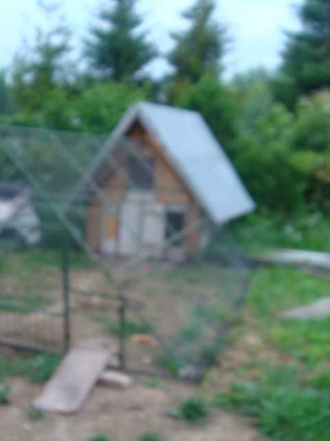 kurnik drewniany z klatką metalową