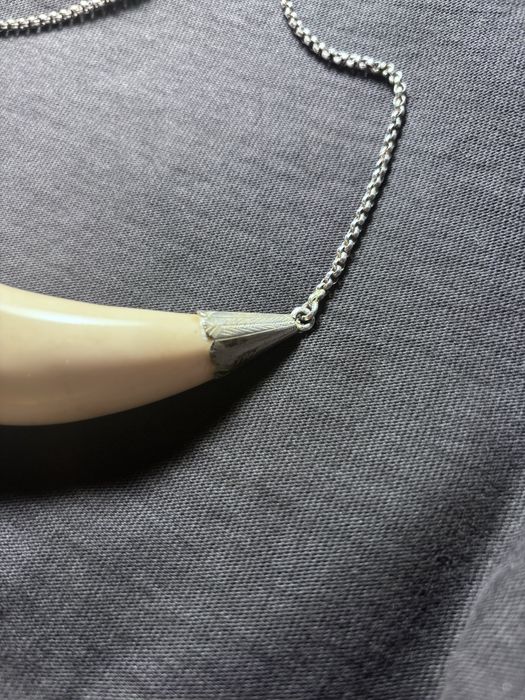 Dente de baleia/cachalote dos Açores (anos 80)