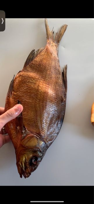 Лещ с икрой и другая речная рыба