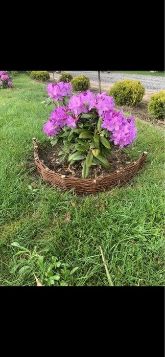 Płotek wiklinowy, Palisada, Wiklina, Ogrodzenie