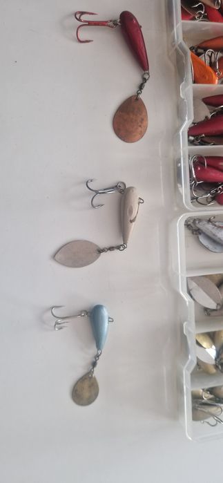 Wirujące ogonki, cykady