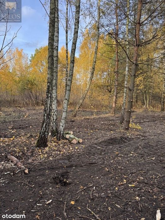 Urokliwa działka w zielonej części Wołomina