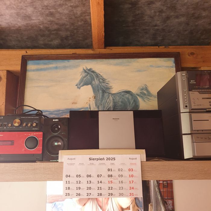 Wyprzedaż garażowa RTV