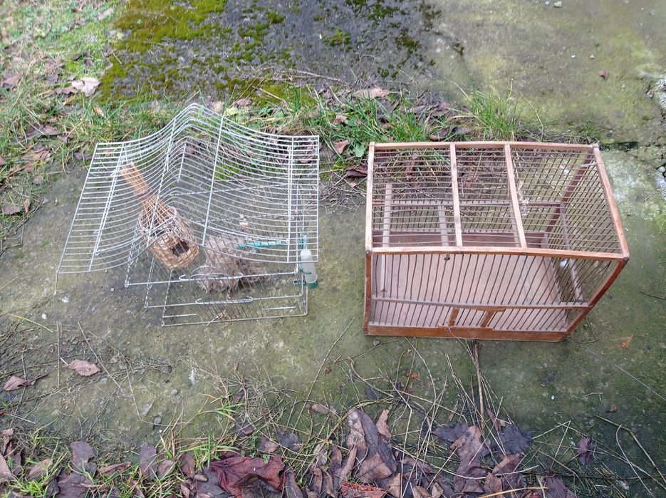 клітки для пташок