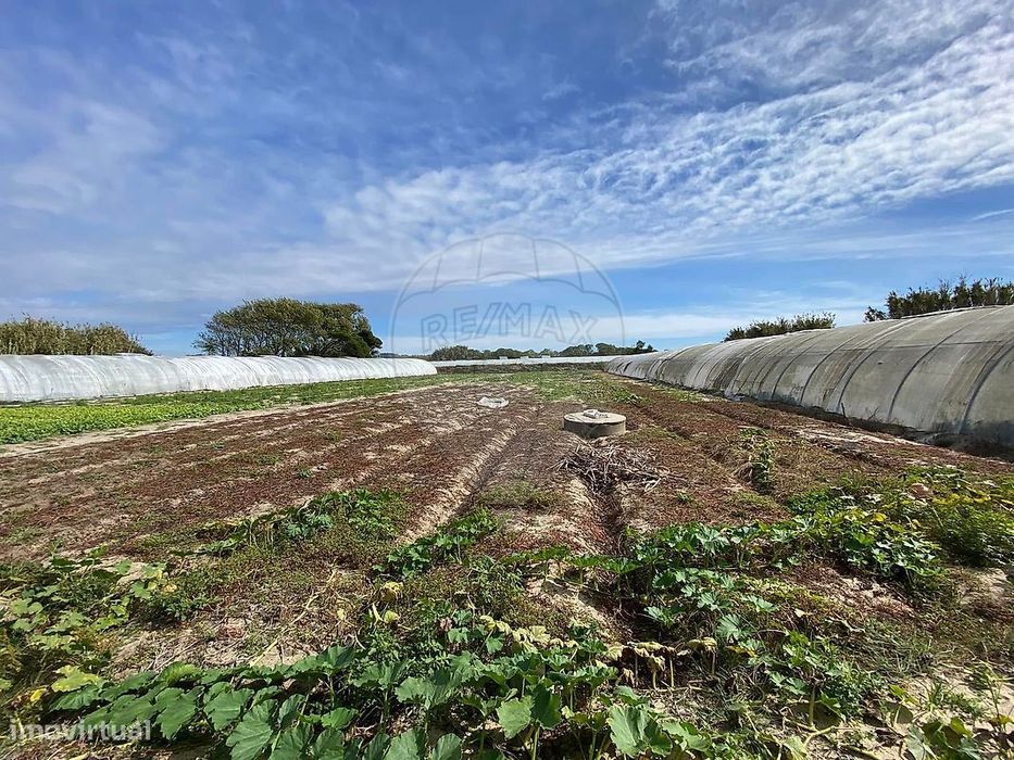 Terreno  para venda — Estela, Porto