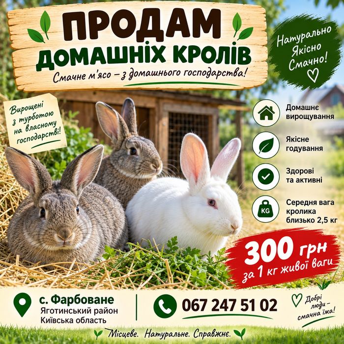 Продам домашніх кролів на м'ясона