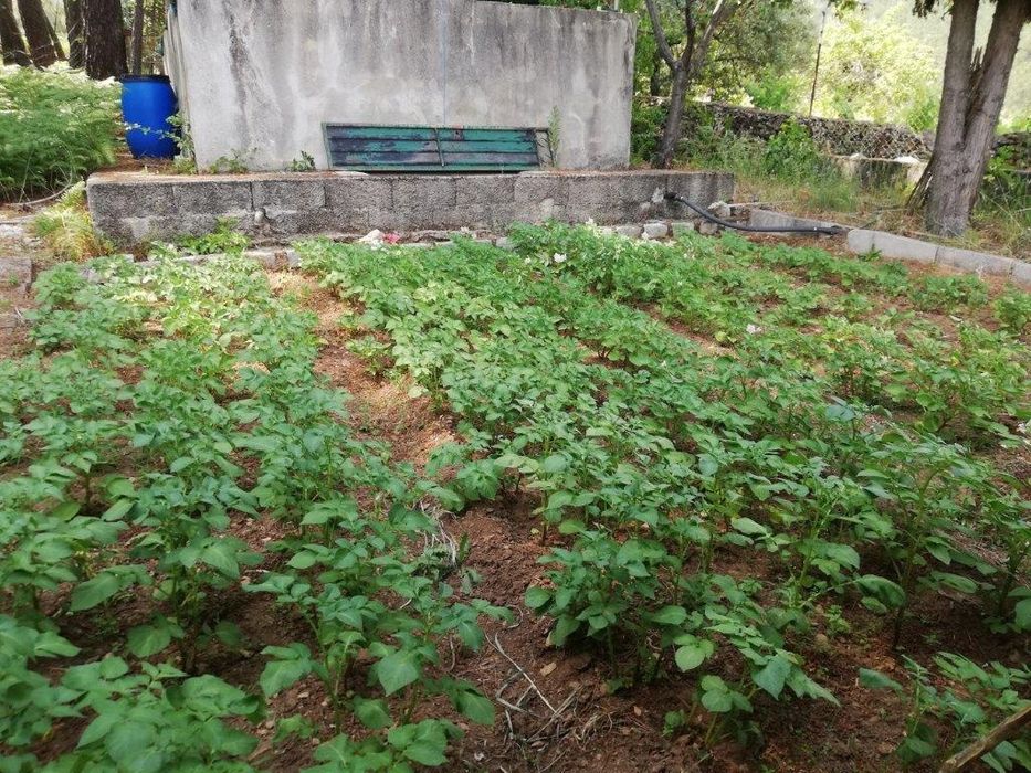 Quinta na Serra da Estrela