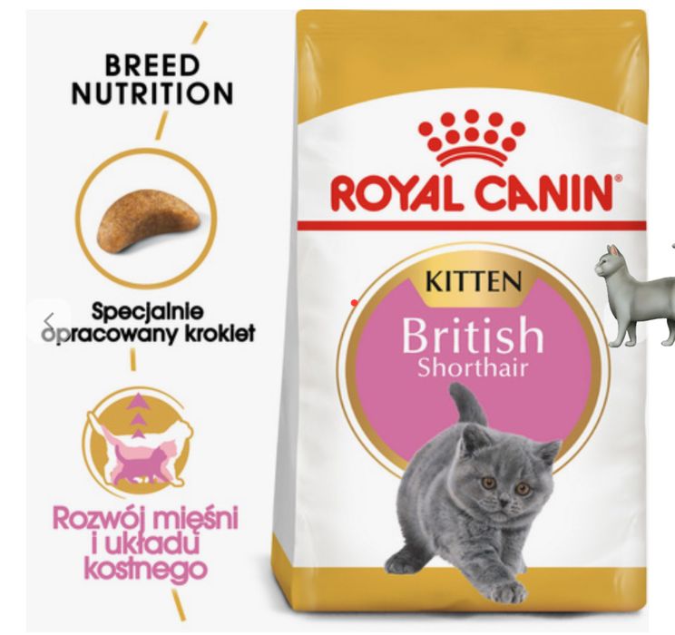 ROYAL CANIN • British Shorthair • Kitten 400g Rc ℹ️ Kociaki Kocięta
