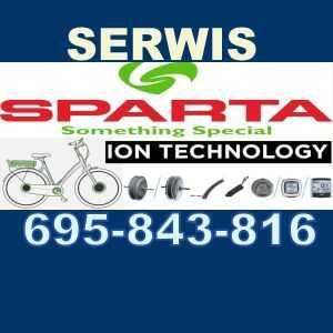 system ion sparta koga batavus hercules wymiana lcd dopisanie kodowanie serwis ion