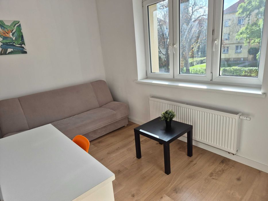 Mieszkanie – Toruń, Przedmieście Świętej Katarzyny, Stare Miasto - Widok 2