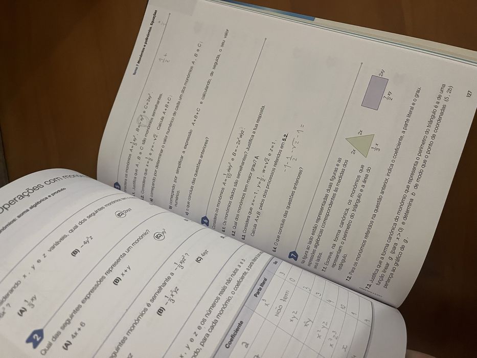 Manual com vários exercicíos Matemática / 8 ano