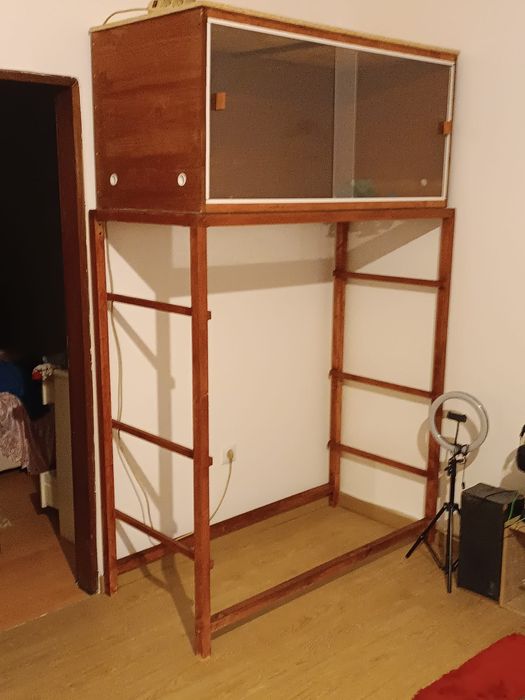 Terrário feito de raiz