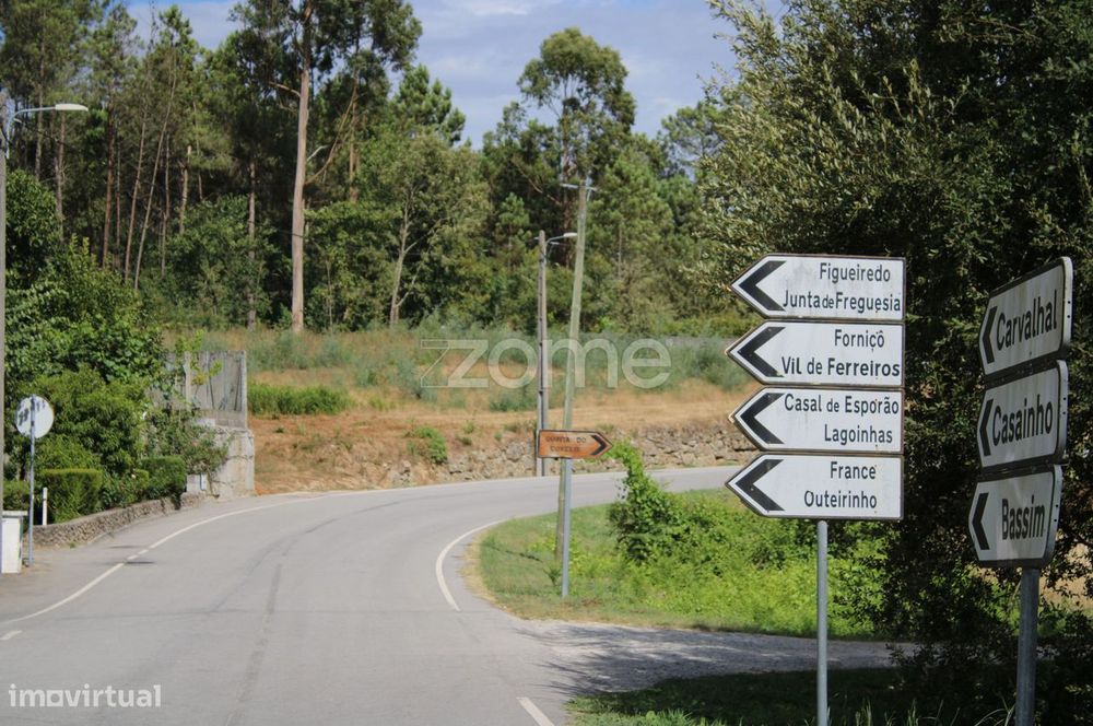 Terreno com pinhal e e mato a 15 minutos de Viseu